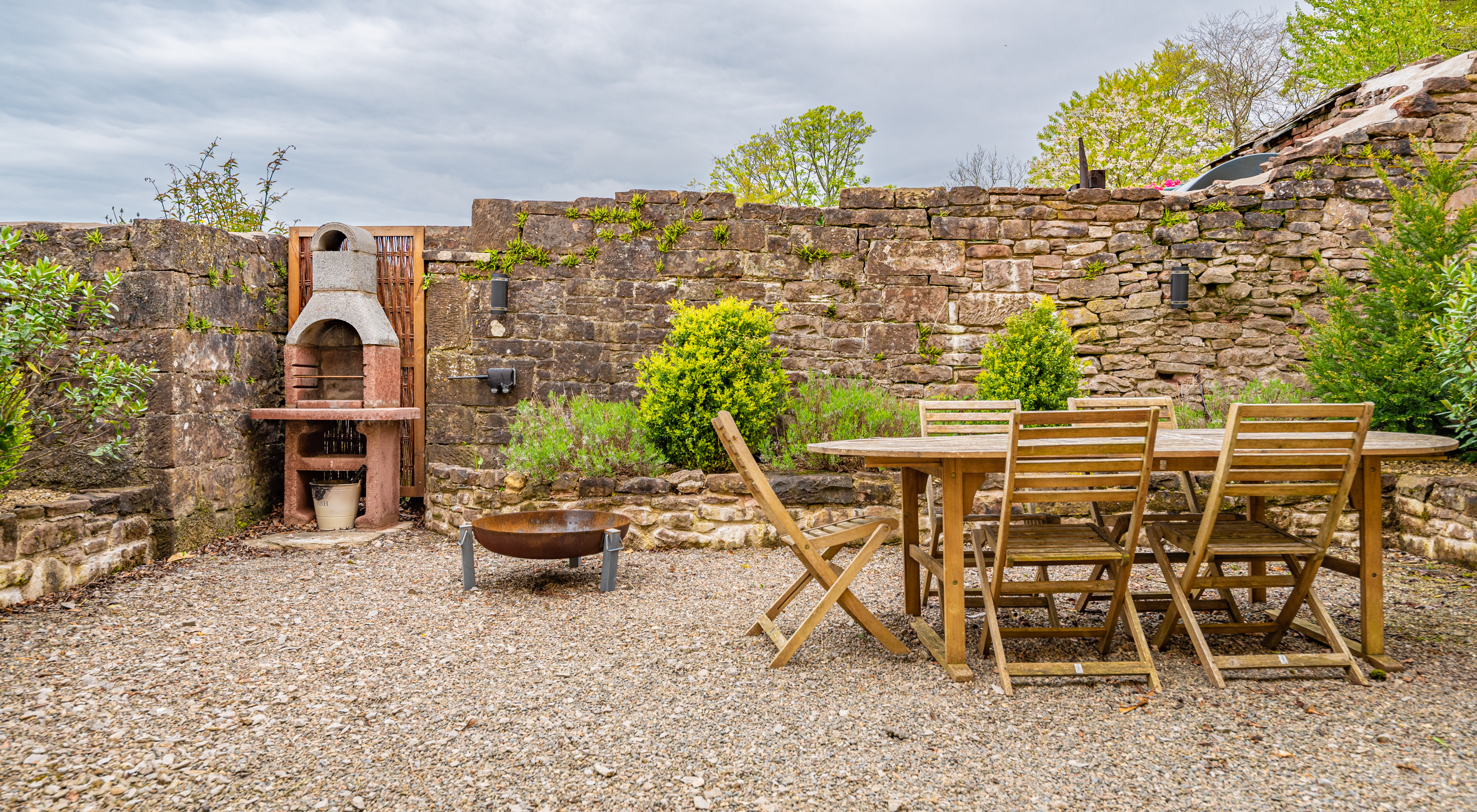 A Host of Golden Daffodils