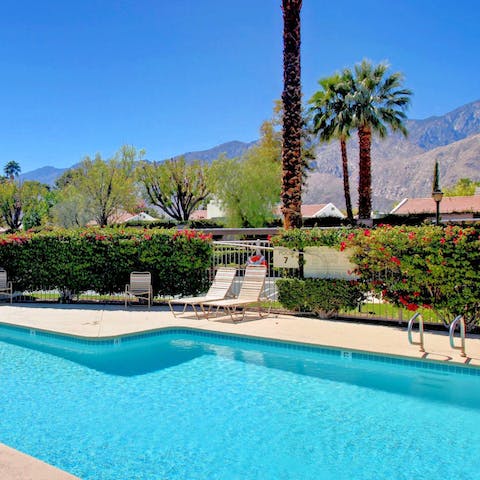 Swim and play in the communal pool