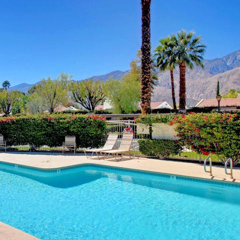 Swim and play in the communal pool 