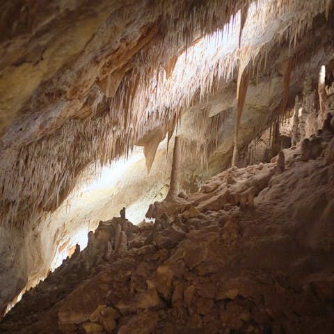 Visit the majestic Caves of Drach, a short drive away