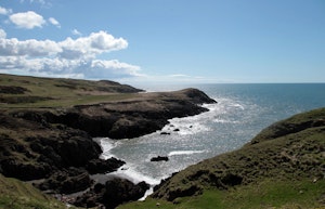 Forest's Edge image 12