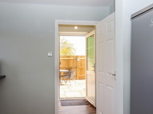 Orchard Reverie image 8