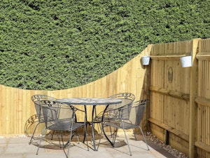 Orchard Reverie image 6