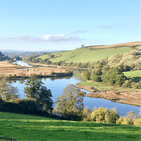 Go for a ramble along the banks of the River Dart, half an hour's walk from the home