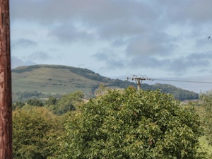Somerset Apples image 9