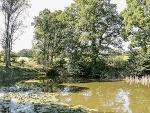 Here in the Moment image 8