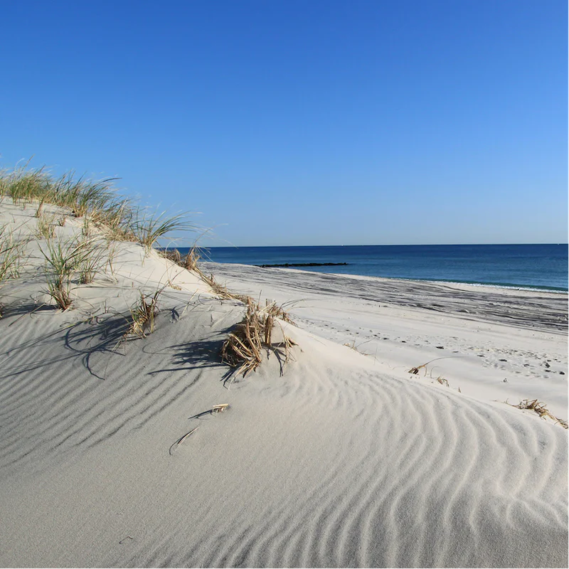 Drive ten minutes to Foster Memorial Beach