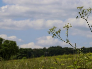 The Kent Downs image 12