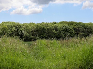 The Kent Downs image 7