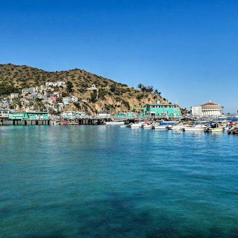 Explore Catalina Island and  Avalon Bay