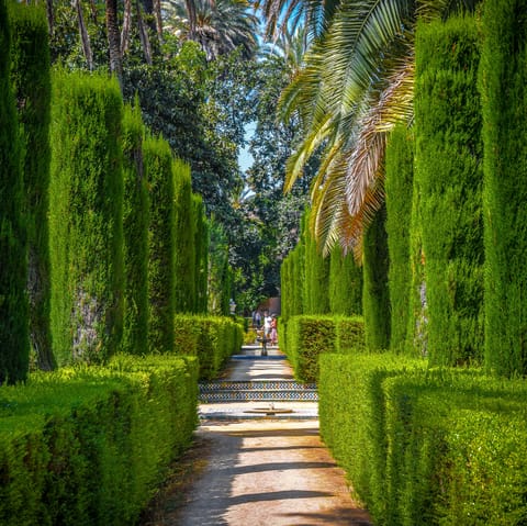 Visit beautiful nearby locations like the Alcazar Gardens just a short walk away