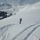Palmer